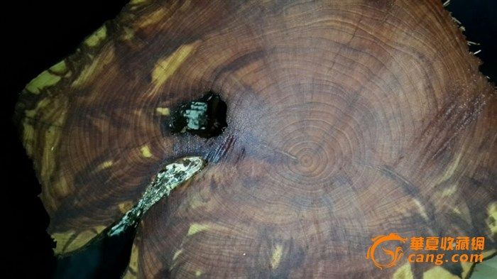 砍下来已经接近60年的木头了,是什么沉香木_砍
