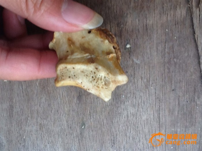 这虎骨怎么样啊,没保存好!