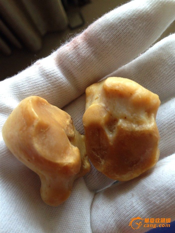 辨别虎骨的小技巧,连杰玩虎骨珠子图片,虎骨凤眼的清晰图片…