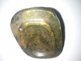 图片不知怎么传,先传这里。_图片不知怎么传,