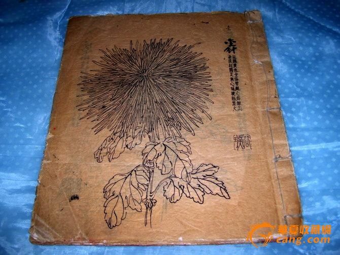 .请梅月外史老师点评,菊花画搞。