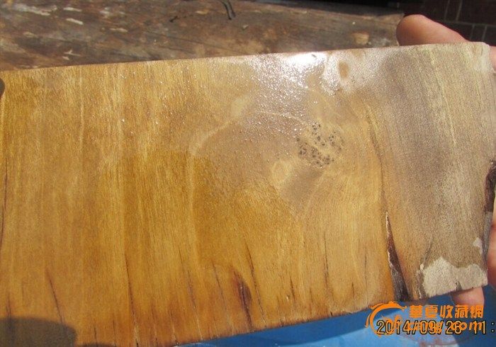 17根14方11吨老料上等金丝楠木【特大号木材