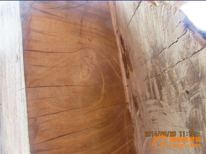 17根14方11吨老料上等金丝楠木【特大号木材