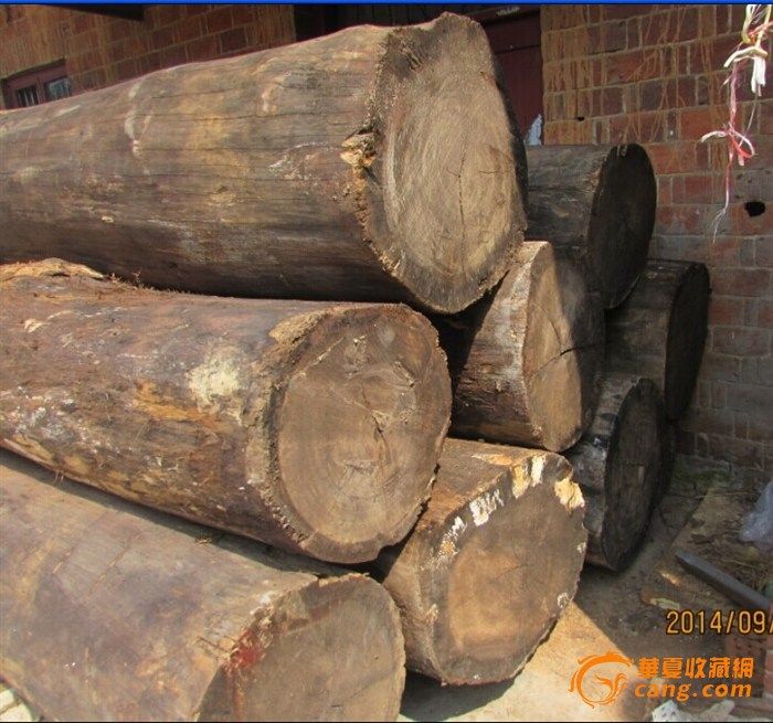 17根14方11吨老料上等金丝楠木【特大号木材