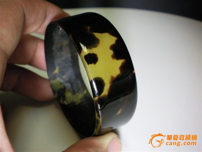 玳瑁背甲壳图片