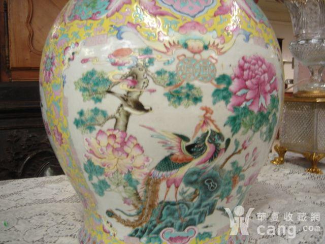 20090528050633100.jpg!s1200