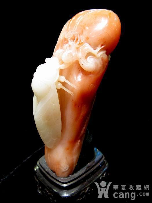 知了耳机猜成语_知了简笔画