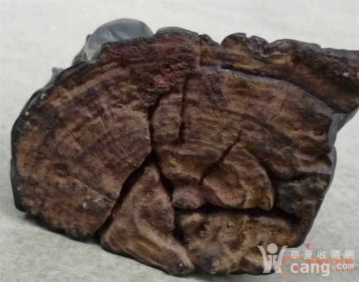 啥叫老料 201004111716206255.jpg!s1200