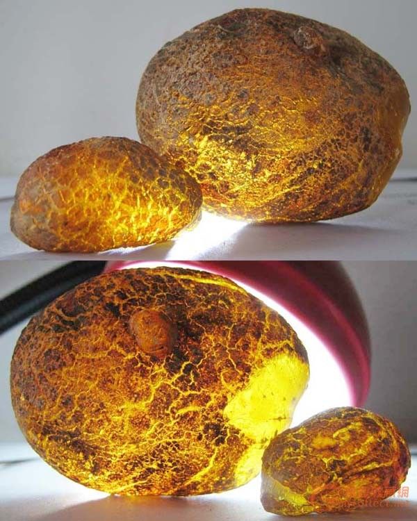 这一大一小的两块琥珀原石,比重(密度)只有1.
