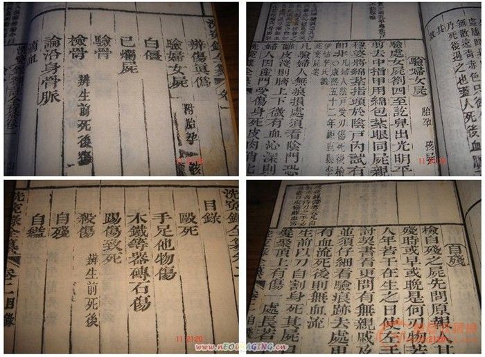 洗冤录简谱_儿歌简谱(2)