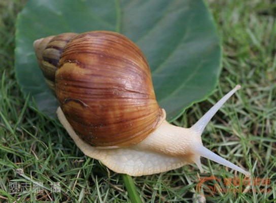 201104081157033596.jpg