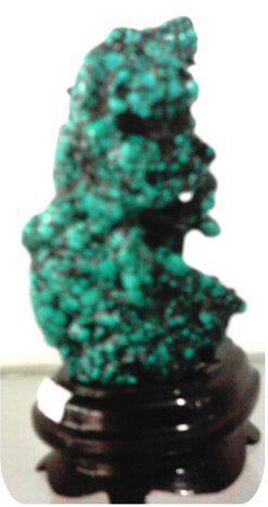 201104281509121875.JPG
