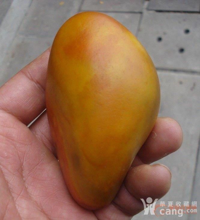 和田黄口料籽料