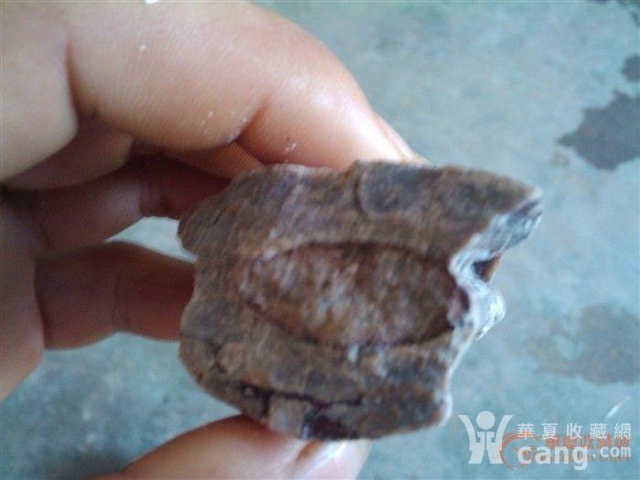 201105131344046096.jpg!s1200