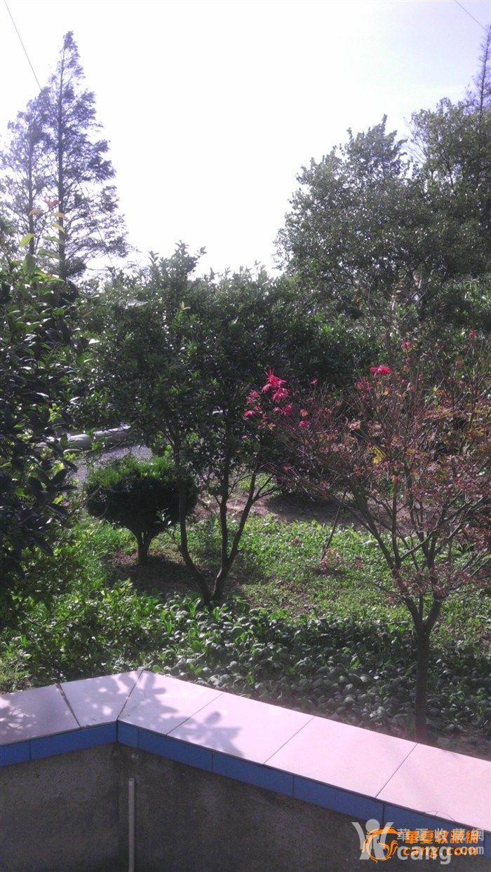 2013100410340699884761.jpg!s1200
