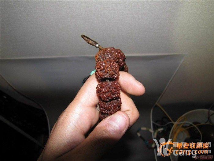 老金刚藏传 2014061711363645011387.jpg!s1200